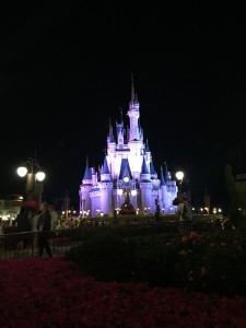 Disney After Hours at Magic Kingdom