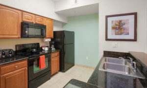 Lake Buena Vista Resort - 2 bedroom suite kitchen