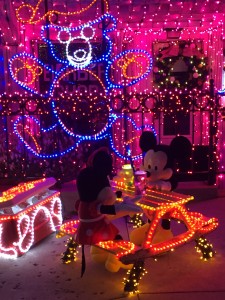Walt Disney World - Christmas at Disney World