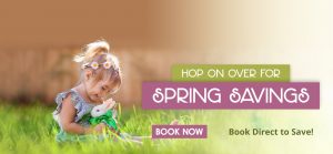Spring Savings - Home page Banner