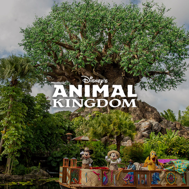 Walt Disney World Animal Kingdom