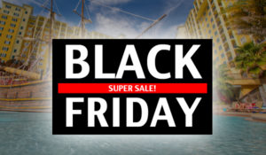 Black Friday Super Sale!
