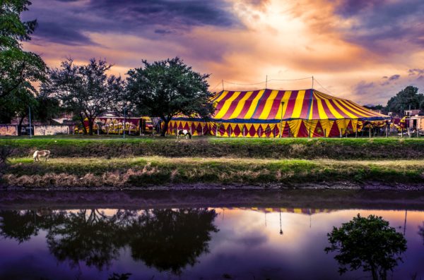 Witness Cirque du Soleil’s return to Orlando at the Florida Mall, just a short drive from our hotel!