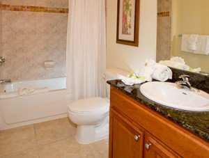 Lake Buena Vista Resort Standard - Bathroom